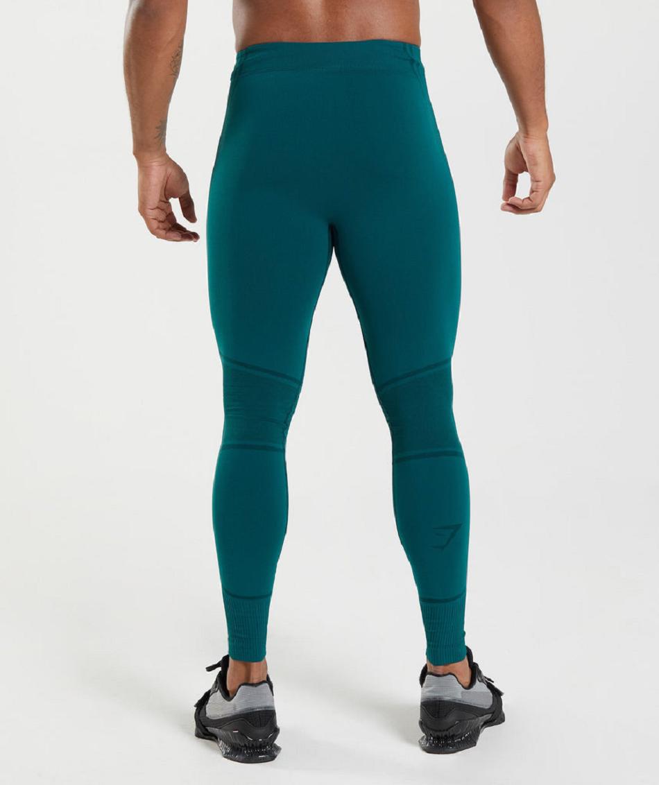 Gymshark 315 Seamless Muške Hulahopke Tirkizne Crne | HR 2173OKI